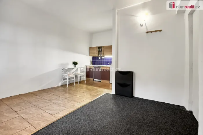 Pronájem bytu 1+kk, Ústí nad Labem - Ústí nad Labem-centrum, Emy Destinové, 21 m2