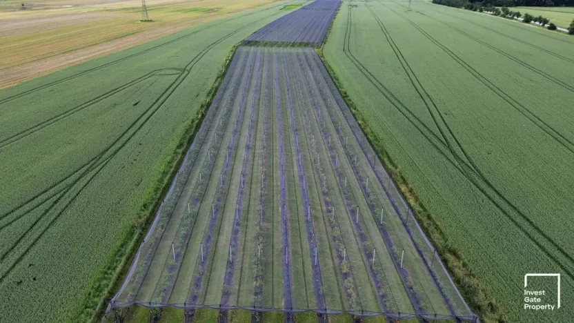 Prodej zemědělského objektu, Čejkovice, 32904 m2