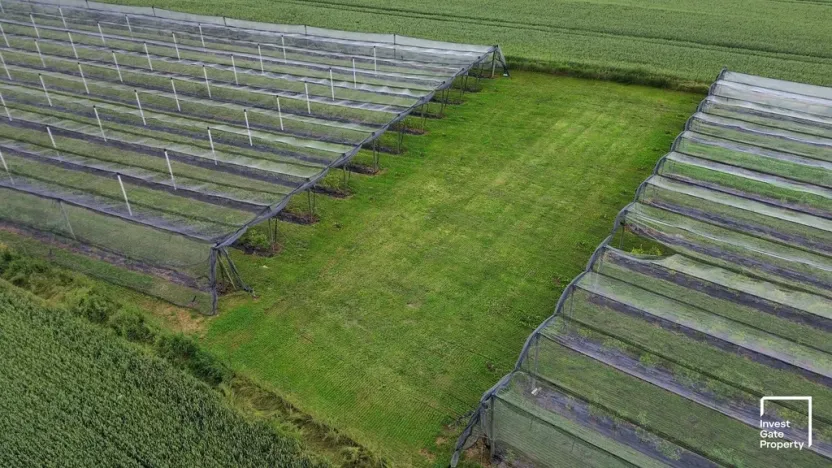 Prodej zemědělského objektu, Čejkovice, 32904 m2