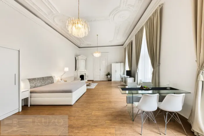 Prodej bytu 1+kk, Brno, Cejl, 73 m2