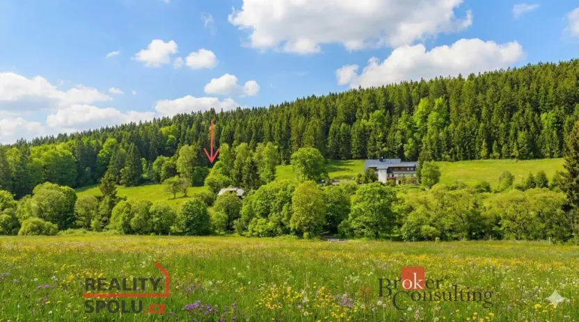 Prodej louky, Železná Ruda, 3475 m2