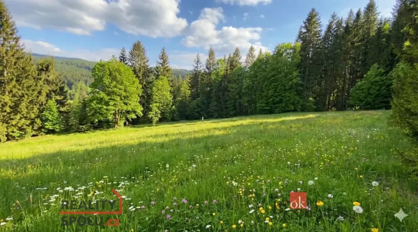 Prodej louky, Železná Ruda, 3475 m2