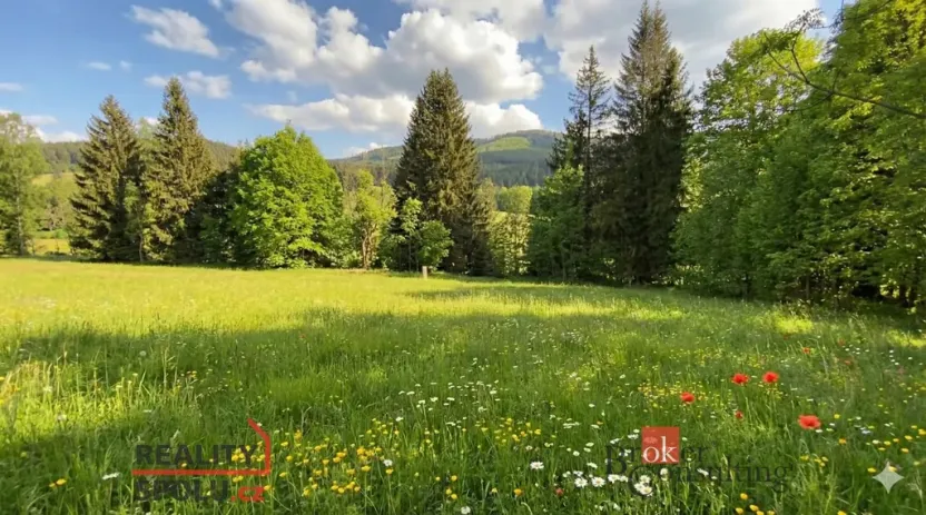Prodej louky, Železná Ruda, 3475 m2