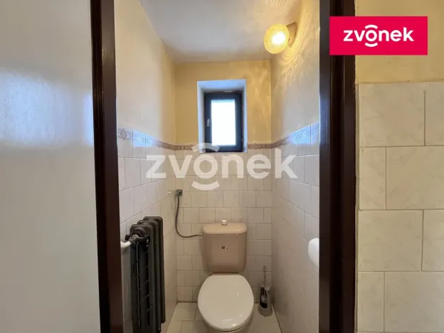 Pronájem výrobních prostor, Sazovice, 210 m2
