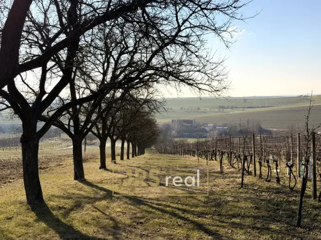 Prodej pozemku, Svatobořice-Mistřín, 3501 m2