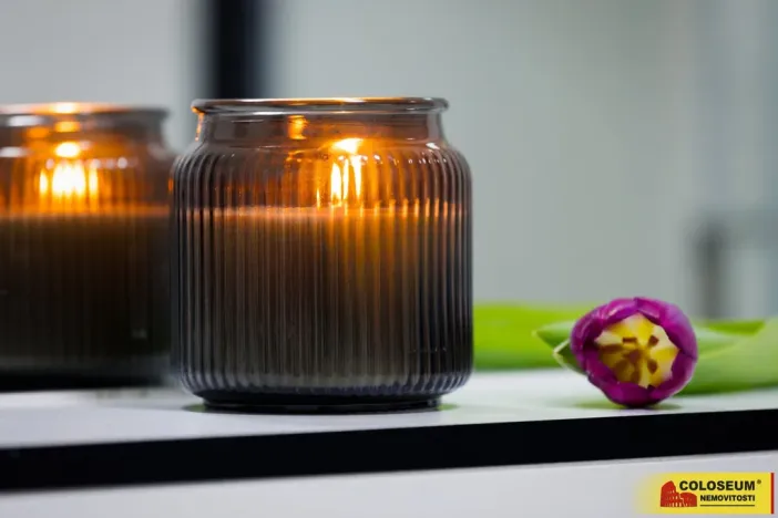 Prodej bytu 2+1, Brno - Veveří, 67 m2