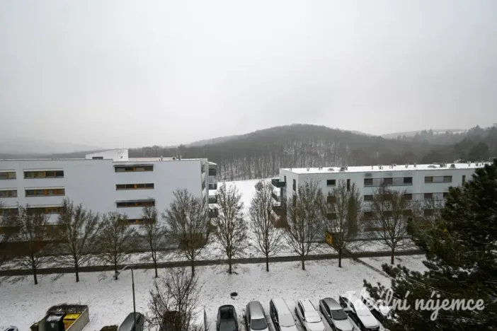 Pronájem bytu 1+1, Brno, Štouračova, 31 m2