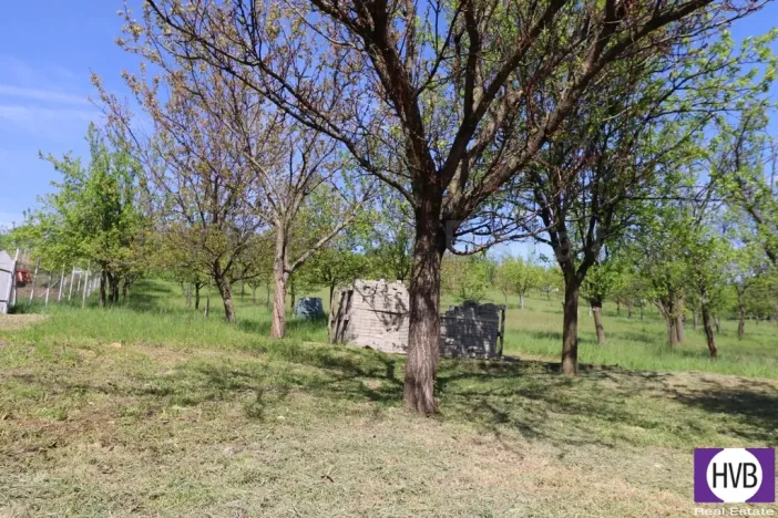 Prodej chalupy, Louka, 95 m2