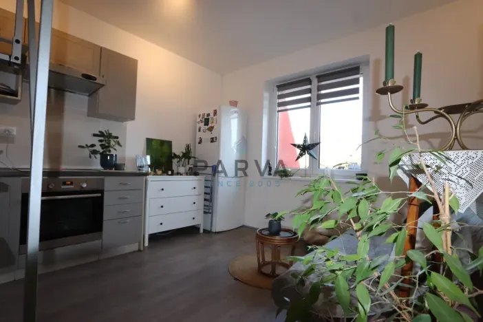 Prodej bytu 1+kk, Starý Plzenec, Herejkova, 37 m2