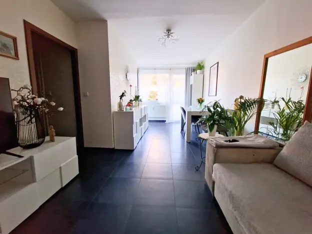 Prodej bytu 2+1, Příbram, Dlouhá, 53 m2