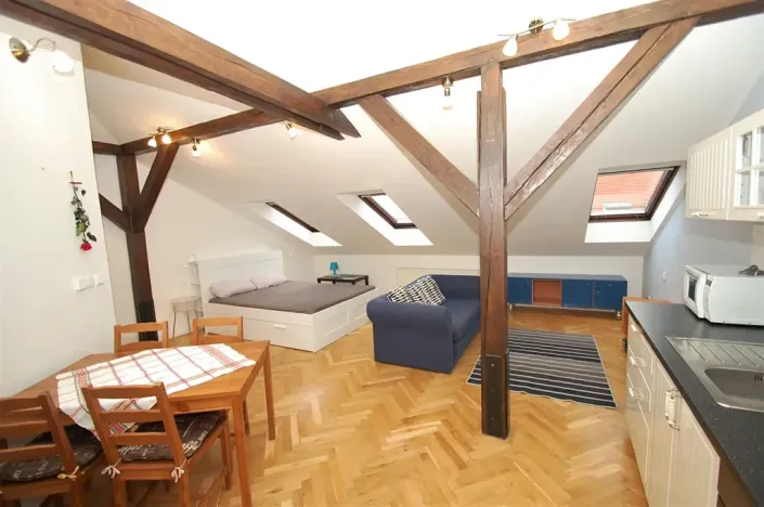 Pronájem bytu 1+kk, Praha - Vinohrady, Sázavská, 56 m2