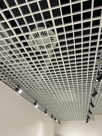 Pronájem obchodního prostoru, Brno - Brno-město, náměstí Svobody, 47 m2