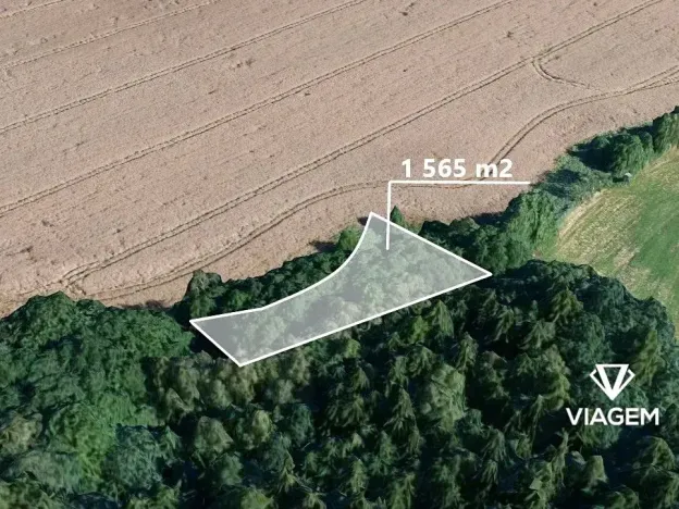 Prodej pole, Borek, 1565 m2