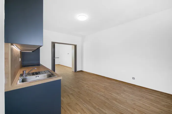 Pronájem bytu 1+1, Plzeň - Severní Předměstí, Bolevecká, 51 m2