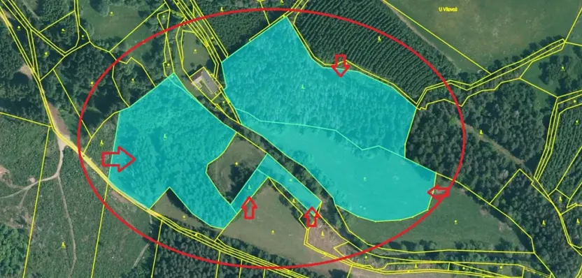 Prodej podílu lesa, Vacov, 23843 m2