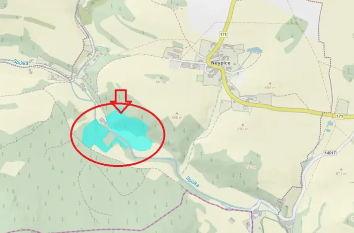 Prodej podílu lesa, Vacov, 23843 m2