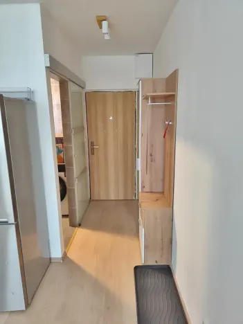 Pronájem bytu 1+1, Jablonec nad Nisou, Lužická, 36 m2