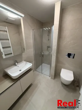 Pronájem bytu 1+kk, Mokrá-Horákov - Mokrá, 30 m2