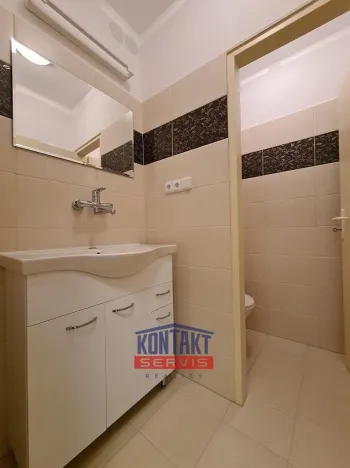 Pronájem bytu 2+1, České Budějovice - České Budějovice 1, 103 m2