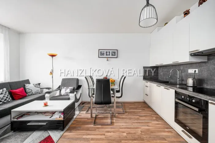 Prodej bytu 2+kk, České Budějovice - České Budějovice 2, Husova tř., 50 m2