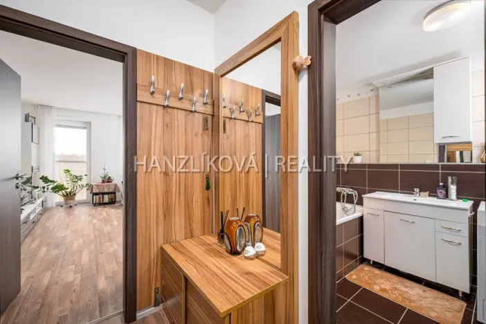 Prodej bytu 2+kk, České Budějovice - České Budějovice 2, Husova tř., 50 m2