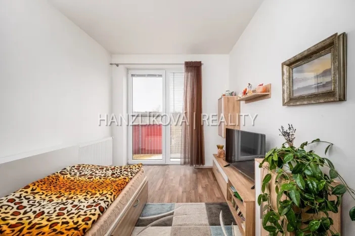 Prodej bytu 2+kk, České Budějovice - České Budějovice 2, Husova tř., 50 m2