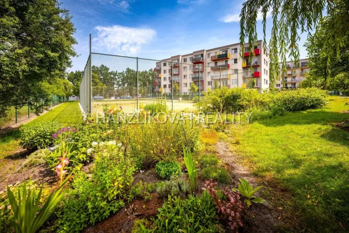 Prodej bytu 2+kk, České Budějovice - České Budějovice 2, Husova tř., 50 m2