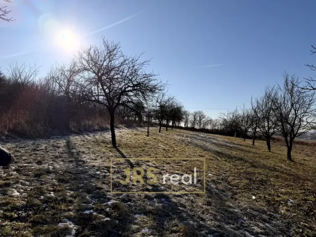 Prodej pozemku, Ostrožská Nová Ves, 982 m2