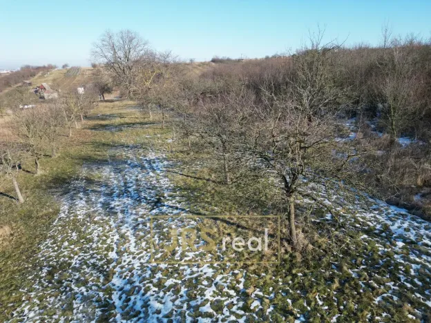 Prodej pozemku, Ostrožská Nová Ves, 982 m2