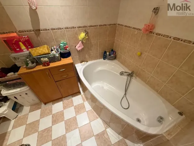 Pronájem bytu 2+1, Bílina - Teplické Předměstí, Sídliště Za Chlumem, 55 m2