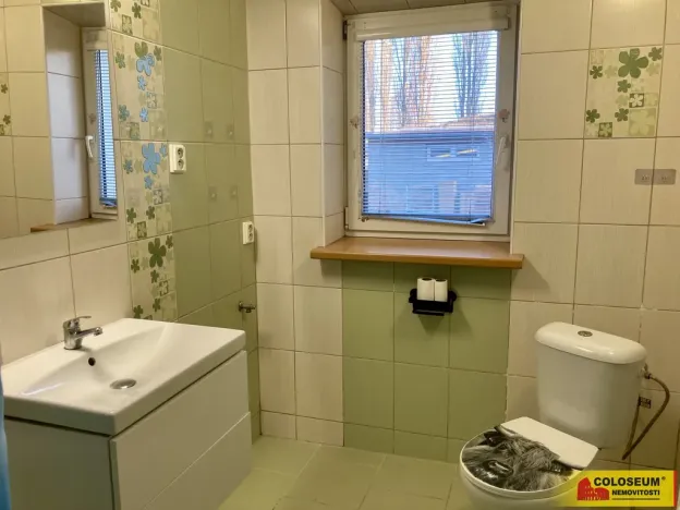 Pronájem bytu 2+1, Hrušovany nad Jevišovkou, 49 m2