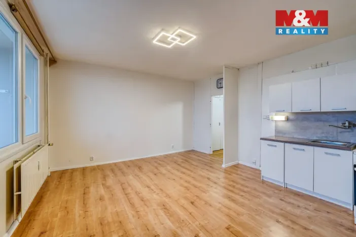 Pronájem bytu 1+kk, Plzeň - Bolevec, Tachovská, 27 m2