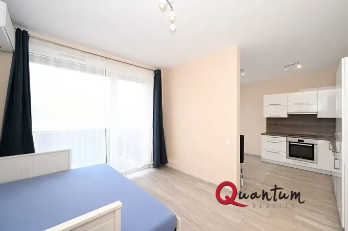 Pronájem bytu 1+kk, Praha - Žižkov, Olgy Havlové, 38 m2