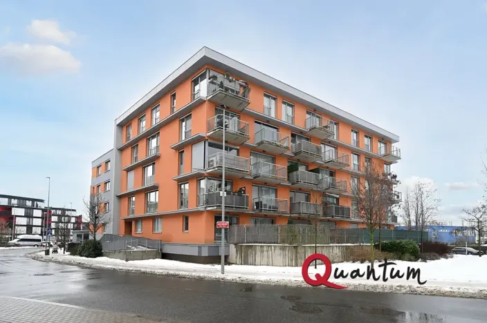 Pronájem bytu 1+kk, Praha - Žižkov, Olgy Havlové, 38 m2