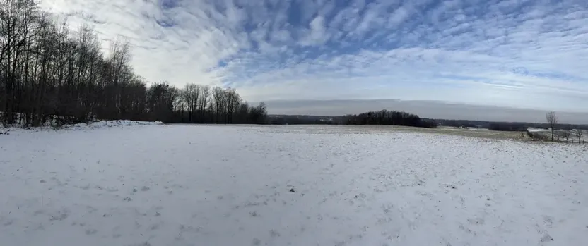 Prodej louky, Bruzovice, 94427 m2