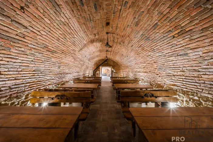 Prodej vinného sklepa, Domanín, 150 m2