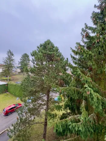 Pronájem bytu 2+1, Česká Lípa, Bendlova, 52 m2