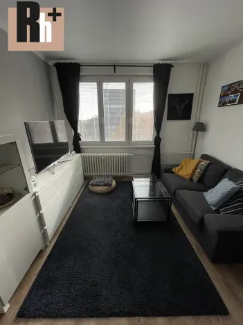 Pronájem bytu 1+1, Ostrava, Opavská, 35 m2