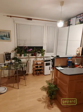 Pronájem bytu 1+1, Liberec, Broumovská, 36 m2