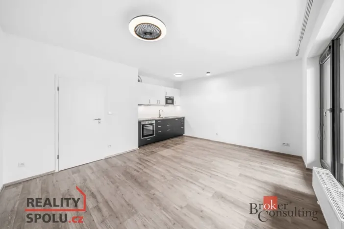 Pronájem bytu 1+kk, Plzeň - Jižní Předměstí, Železná, 43 m2