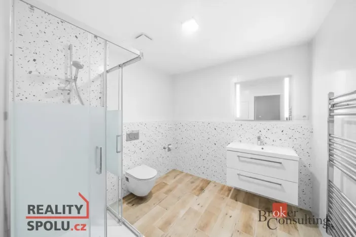 Pronájem bytu 1+kk, Plzeň - Jižní Předměstí, Železná, 43 m2