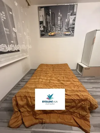 Pronájem bytu 1+kk, Teplice, Krušnohorská, 32 m2