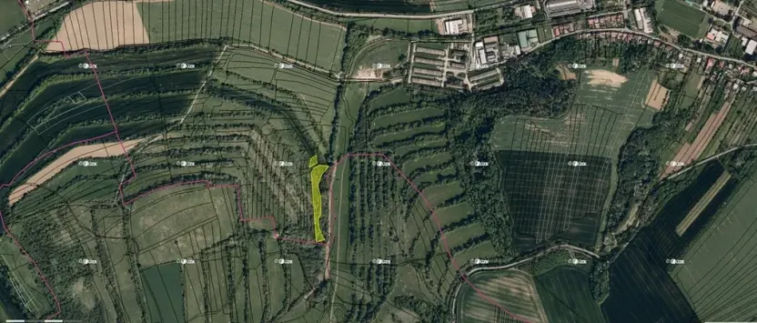 Prodej podílu pole, Boršice, 8735 m2