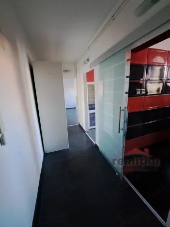 Pronájem bytu 1+1, Opava - Předměstí, Těšínská, 38 m2