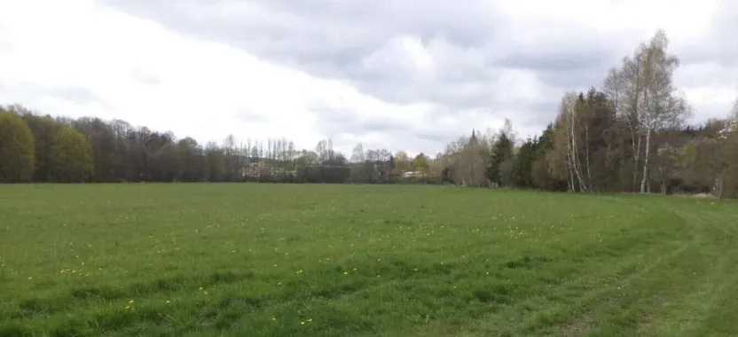 Prodej pole, Tachov, 55666 m2