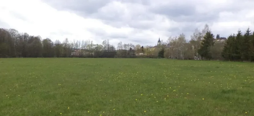 Prodej pole, Tachov, 55666 m2