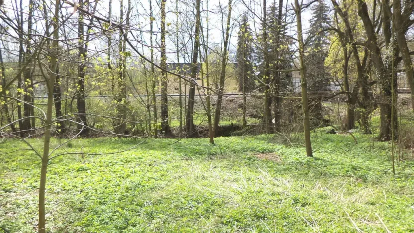 Prodej pole, Tachov, 55666 m2