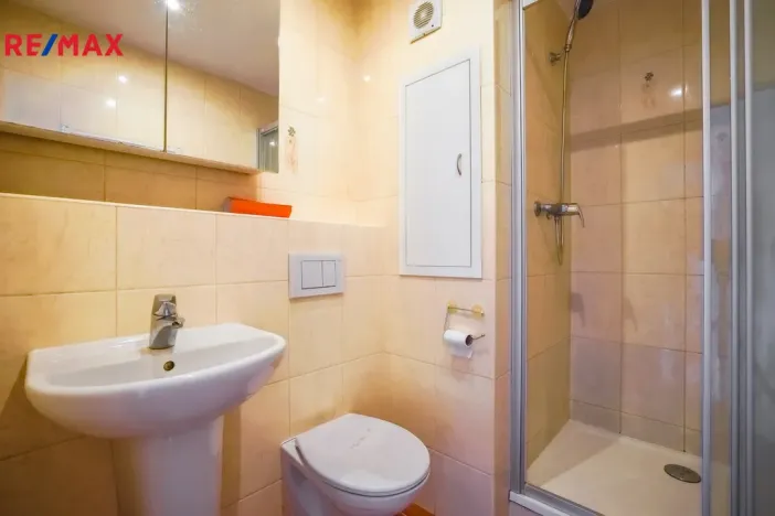 Prodej bytu 1+1, Přerov - Přerov I-Město, Velká Dlážka, 30 m2