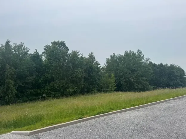 Dražba pozemku pro bydlení, Slavče, 1251 m2