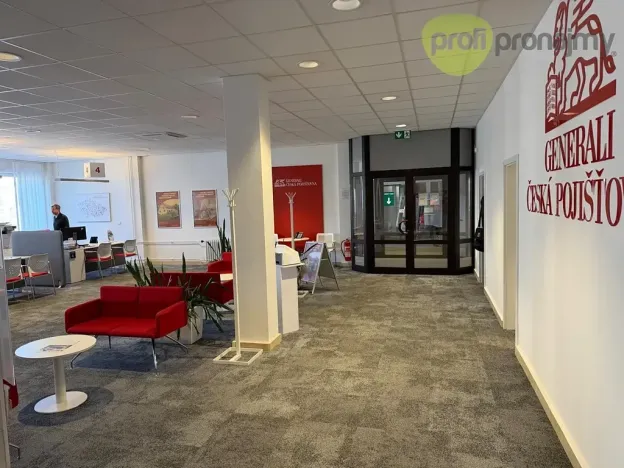 Pronájem obchodního prostoru, Šumperk, Gen. Svobody, 260 m2